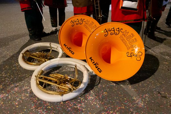 Nach der Fasnacht ist vor der Fasnacht - interessiert?